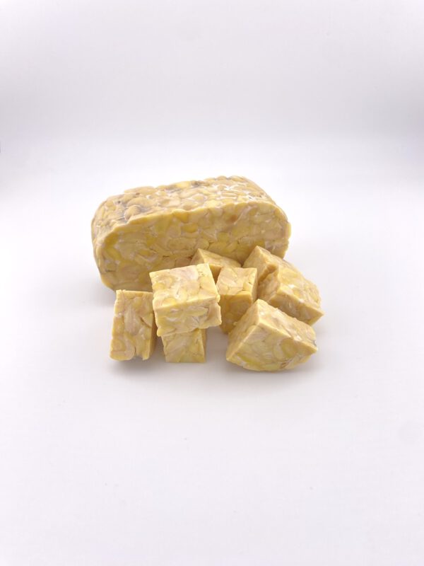 BIO TEMPEH NATUR